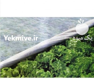 قیمت خرید کاور ضد سرمازدگی محصولات در فراشبند در گروه خرید و فروش توری گلخانه در یکمیوه -عکس1