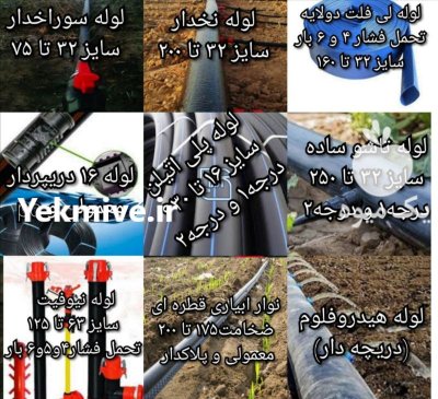 قیمت خرید توزیع محصولات آبیاری غرقابی در هرمز در گروه خرید و فروش اتصالات و تجهیزات آبیاری در یکمیوه -عکس1