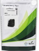 بذر خیار سوپر دومینوس سمینیس در اصفهان در گروه خرید و فروش بذر خیار در یکمیوه