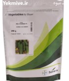 بذر خیار دو ان نادا در بوشهر در گروه خرید و فروش بذر خیار در یکمیوه