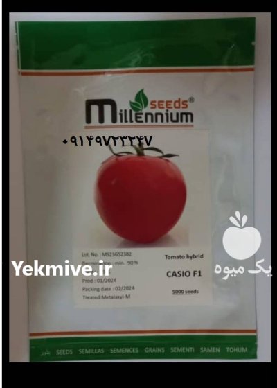 بذر گوجه هیبرید کاسیو در بندرعباس در هرمزگان در گروه خرید و فروش بذر گوجه در یکمیوه -عکس1