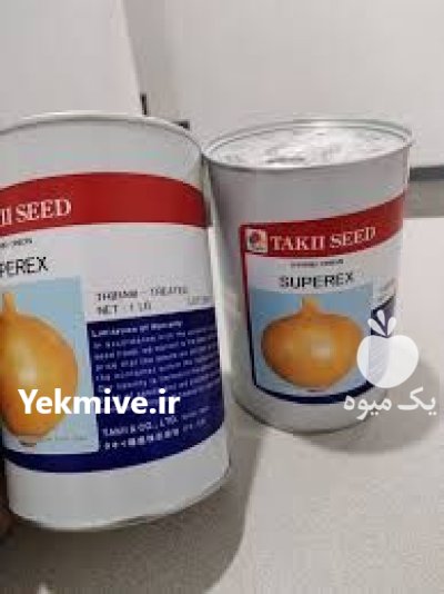 فروش بذر پیاز تاکی با کیفیت در هشتبندی در گروه خرید و فروش بذر پیاز در یکمیوه -عکس1