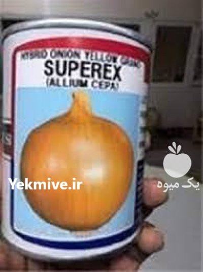 عرضه مستقیم بذر پیاز تاکی در شیراز در گروه خرید و فروش بذر پیاز در یکمیوه -عکس1