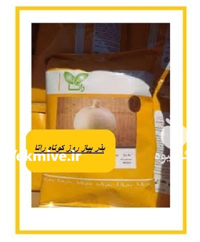 فروش بذر پیاز راتا در زاهدان در گروه خرید و فروش بذر پیاز در یکمیوه -عکس1