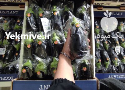 بادمجان لامپی گلخانه ای صادراتی یزد در گروه خرید و فروش بادمجان در یکمیوه -عکس1