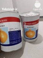 فروش بذر پیاز تاکی با کیفیت در هشتبندی در گروه خرید و فروش بذر پیاز در یکمیوه