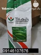 عرضه مستقیم بذر نخود فرنگی در هشتبندی در گروه خرید و فروش انواع بذر در یکمیوه