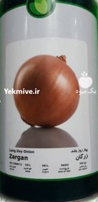 بذر پیاز زرد زرگان فلات در بیجار در گروه خرید و فروش بذر پیاز در یکمیوه