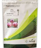 بذر پیاز 7030 سمینیس در آق قلا در گروه خرید و فروش بذر پیاز در یکمیوه