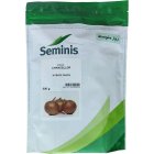 فروش بذر پیاز چنسلور در بیرجند در گروه خرید و فروش بذر پیاز در یکمیوه