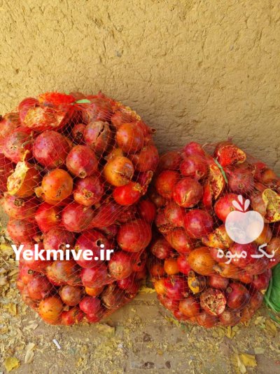 انار ضایعات در مشهد در گروه خرید و فروش انار در یکمیوه -عکس1