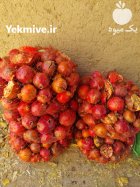 انار ضایعات در مشهد در گروه خرید و فروش انار در یکمیوه