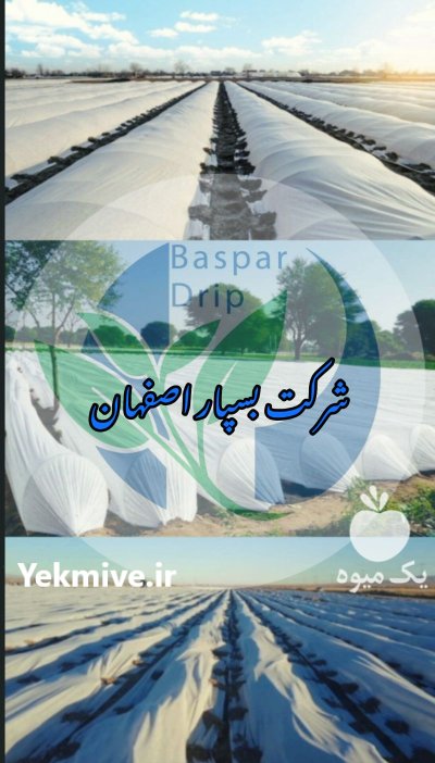 کاور ضد سرما در تاکستان در گروه خرید و فروش توری گلخانه در یکمیوه -عکس2