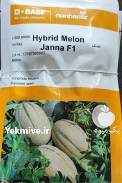 عرضه مستقیم بذر ملون جانا در مشهد در گروه خرید و فروش بذر ملون در یکمیوه -عکس1