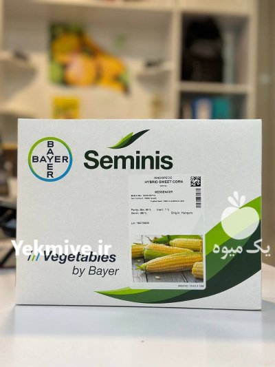 عرضه مستقیم بذر ذرت مسنجر در شیراز در گروه خرید و فروش بذر ذرت در یکمیوه -عکس1