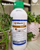سم قارچ کش ماکسیم ایکس ال در اصفهان در گروه خرید و فروش انواع سم در یکمیوه