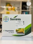 عرضه مستقیم بذر ذرت مسنجر در شیراز در گروه خرید و فروش بذر ذرت در یکمیوه