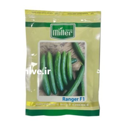 بذر خیار رنجر در آسمان آباد در گروه خرید و فروش بذر خیار در یکمیوه -عکس1