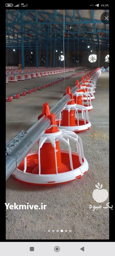 لوازم مرغداری در پیرانشهر در گروه تجهیزات مرغداری در یکمیوه -عکس4