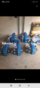 دانخوری بشقابی اتوماتیک در تربت جام در گروه تجهیزات مرغداری در یکمیوه