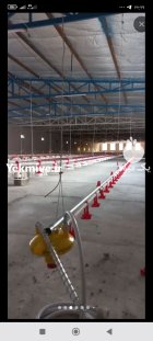 آبخوری نپیل و زنگوله ای در چاه بهار در گروه تجهیزات مرغداری در یکمیوه