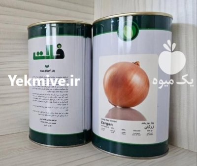 بذر پیاز فلات پرفروش ترین رقم در شیراز در گروه خرید و فروش بذر پیاز در یکمیوه -عکس1