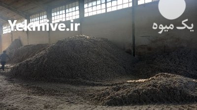 دانه پنبه برای خوراک دام روغن در اصلاندوز در گروه خوراک دام و طیور در یکمیوه -عکس1