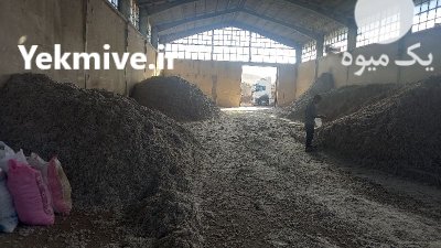 دانه پنبه برای خوراک دام روغن در اصلاندوز در گروه خوراک دام و طیور در یکمیوه -عکس3