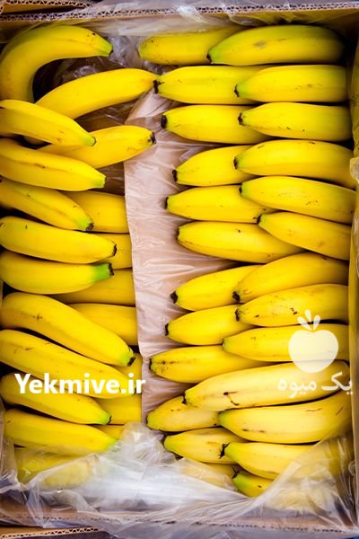 فروشگاه میوه میتاش در تهران در گروه خرید و فروش موز در یکمیوه -عکس3