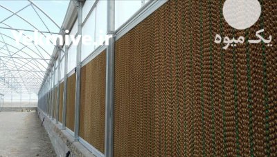 فروش پدهای سلولزی گلخانه در هرمز در هرمزگان در گروه تجهیزات مرغداری در یکمیوه -عکس1