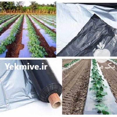 قیمت خرید انواع نایلون در ایرانشهر در گروه خرید و فروش انواع پوشش ها در یکمیوه -عکس1