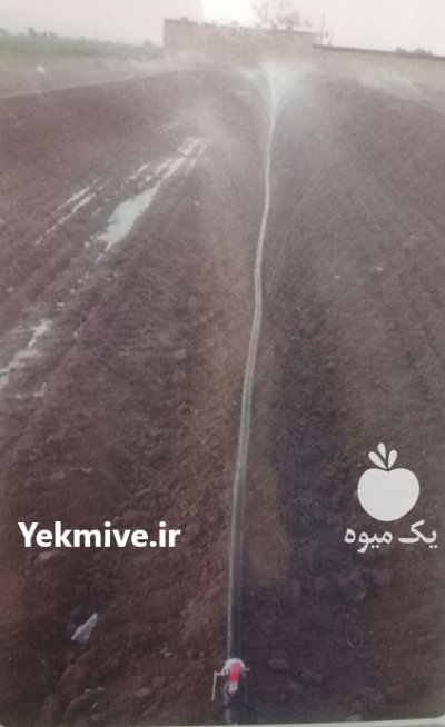 قیمت خرید لوله های بارانی مهپاش در اسدآباد در گروه خرید و فروش لوله کشاورزی در یکمیوه -عکس1