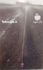 قیمت خرید لوله های بارانی مهپاش در اسدآباد در گروه خرید و فروش لوله کشاورزی در یکمیوه