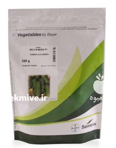 بذر خیار دو ان نادا در بیرجند در گروه خرید و فروش بذر خیار در یکمیوه -عکس1