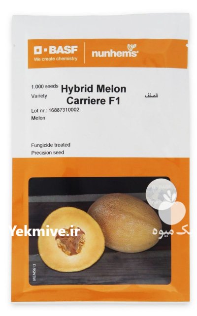 بذر خربزه آناناسی کریر نانهمزه در شیراز در گروه خرید و فروش بذر خربزه در یکمیوه -عکس1