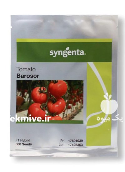 بذر گوجه گلخانه ای باروسور سینجنتا در ساری در گروه خرید و فروش بذر گوجه در یکمیوه -عکس1