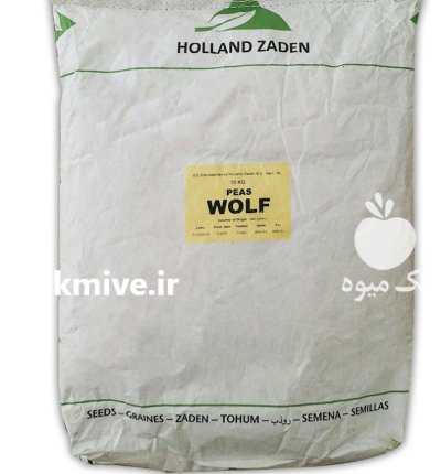 بذر نوخود فرنگی ولف هلند در هرمزگان در گروه خرید و فروش انواع بذر در یکمیوه -عکس1