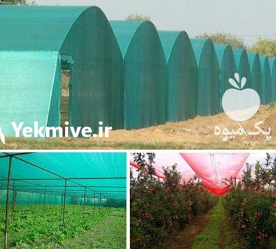 قیمت خرید توری سایبان در شیراز در فارس در گروه خرید و فروش توری گلخانه در یکمیوه -عکس1