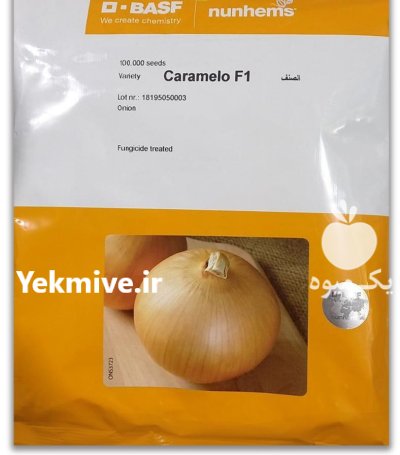 بذر پیاز زرد هیبرید کاراملو f 1 در هرمزگان در گروه خرید و فروش بذر پیاز در یکمیوه -عکس1
