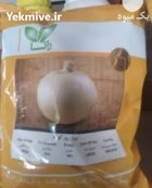 بذر پیاز راتا قرمز فروش تضمینی در جیرفت در گروه خرید و فروش بذر پیاز در یکمیوه