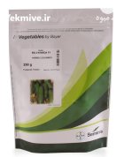 بذر خیار دو ان نادا در بیرجند در گروه خرید و فروش بذر خیار در یکمیوه