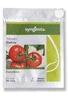 بذر گلخانه ای دافنیس سینجنتا در اصفهان در گروه خرید و فروش بذر گوجه در یکمیوه