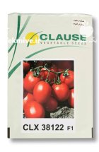 بذر گوجه clx 38122 کلوز در یزد در گروه خرید و فروش بذر گوجه در یکمیوه