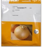 بذر پیاز زرد هیبرید کاراملو f 1 در هرمزگان در گروه خرید و فروش بذر پیاز در یکمیوه