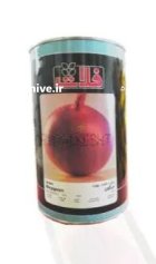 بذر پیاز قرمز میگون فلات در هرمزگان در گروه خرید و فروش بذر پیاز در یکمیوه