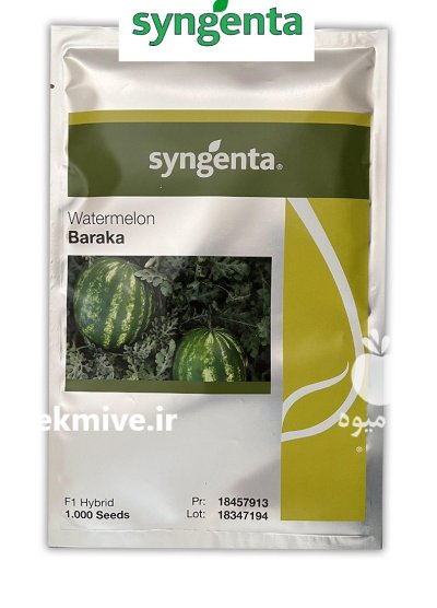 بذر هندوانه باراکا در مشهد در گروه خرید و فروش بذر هندوانه در یکمیوه -عکس1