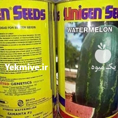 بذر هندوانه یونی ژن در آبسرد در گروه خرید و فروش بذر هندوانه در یکمیوه -عکس1