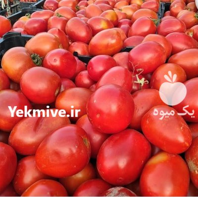 باربارکن محصولات کشاورزی دزفول در خوزستان در گروه بار بارکن محصولات کشاورزی در یکمیوه -عکس4
