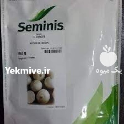 قیمت بذر پیاز سایروس با کیفیت در جیرفت در گروه خرید و فروش بذر پیاز در یکمیوه -عکس1
