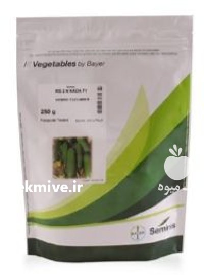 بذر خیار 2n سمینیس در هرمزگان در گروه خرید و فروش بذر خیار در یکمیوه -عکس1